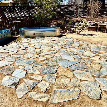 Popular Homestead! Location, Stargaze, Views! Joshua Tree Exterior foto