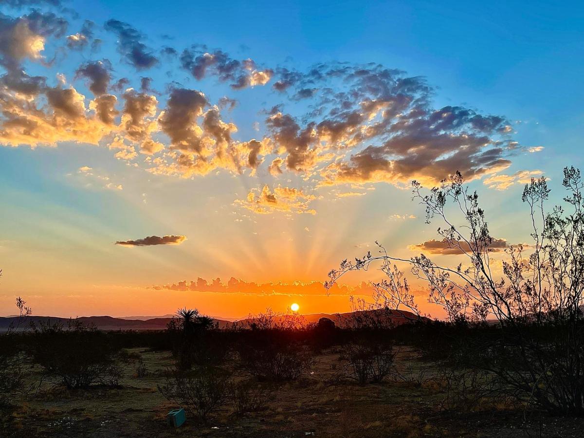 Popular Homestead! Location, Stargaze, Views! Joshua Tree Exterior foto