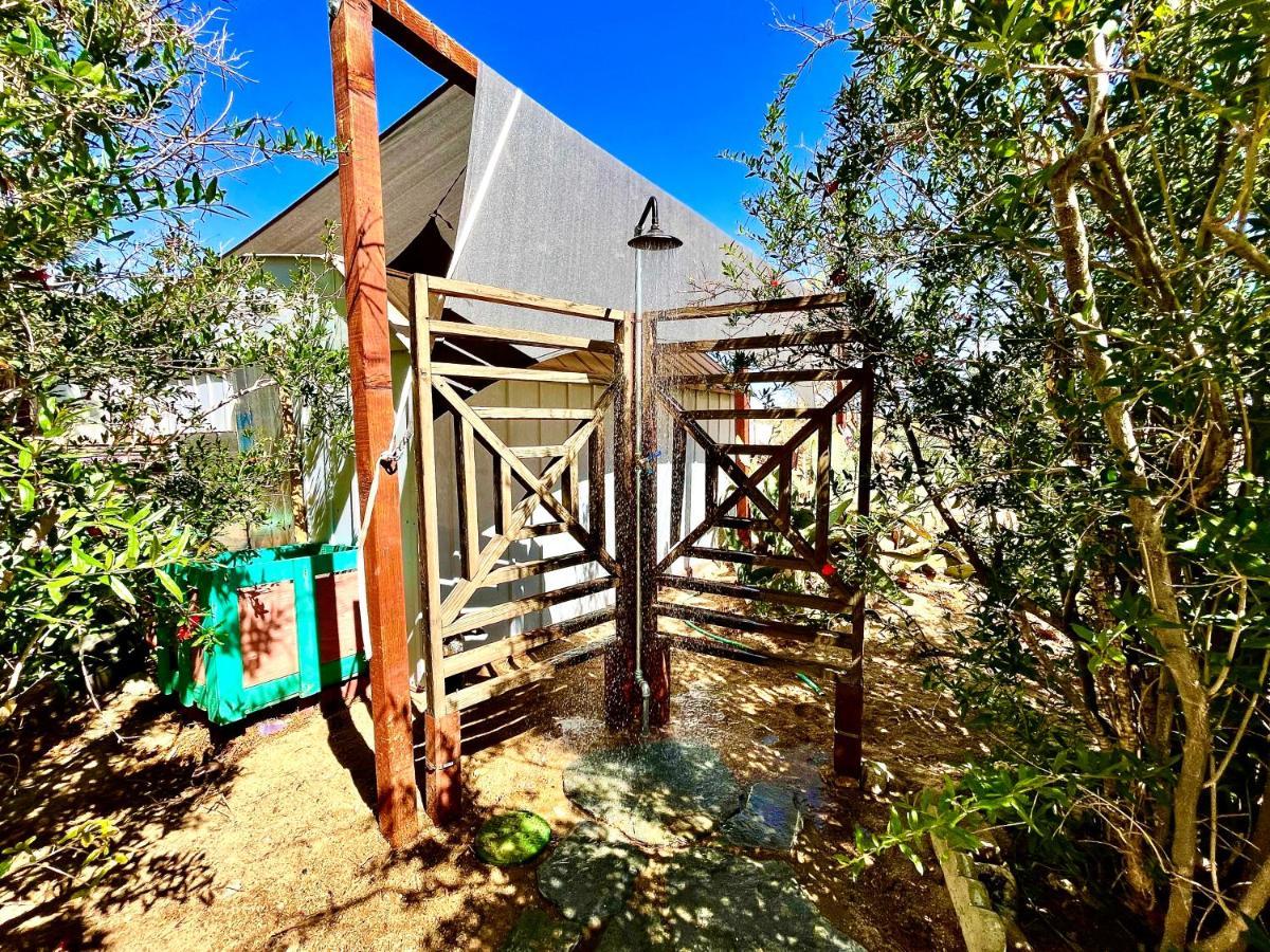 Popular Homestead! Location, Stargaze, Views! Joshua Tree Exterior foto